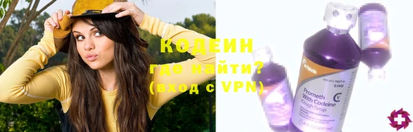 индика Переславль-Залесский