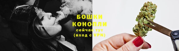 индика Переславль-Залесский