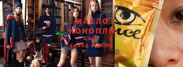 индика Переславль-Залесский