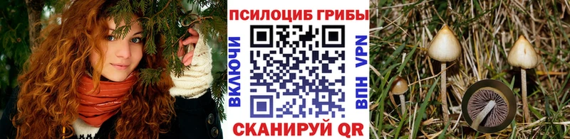 Галлюциногенные грибы MAGIC MUSHROOMS  Купить закладки  Керчь 